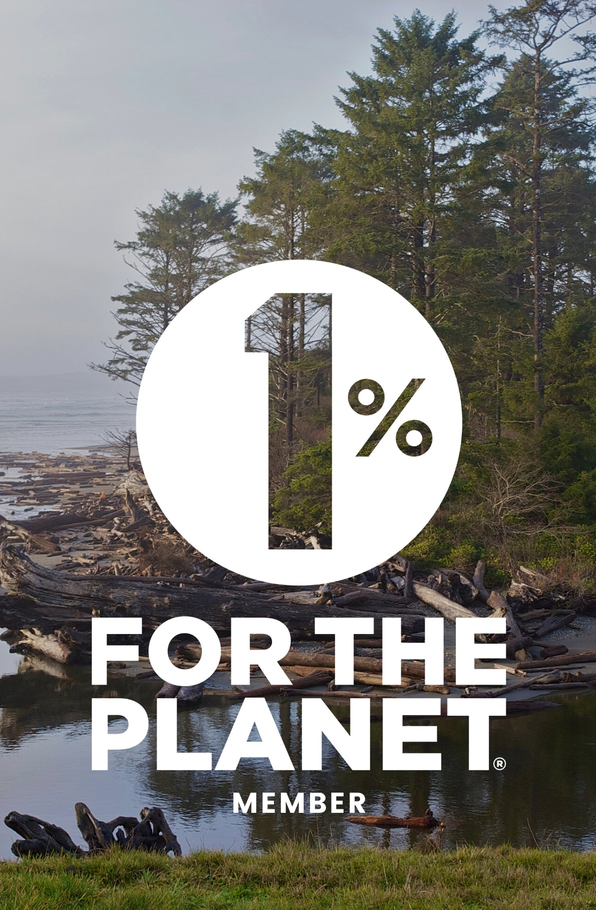 Collection page banner